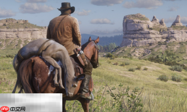 荒野大镖客2作弊码有哪些 全作弊代码大全一览
