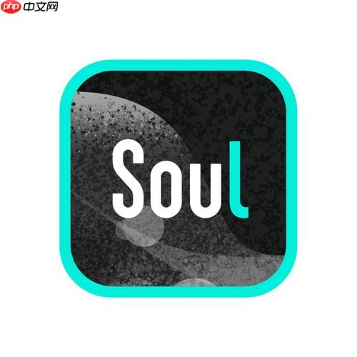 Soul怎么設置夜間模式_Soul夜間模式開啟關閉教程