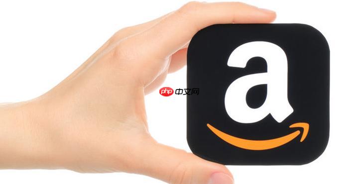 亚马逊代购支付分期付款_亚马逊代购支付分期选择