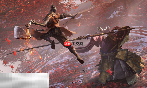 只狼影逝二度兑换码有什么 只狼影逝二度最新2025兑换码一览