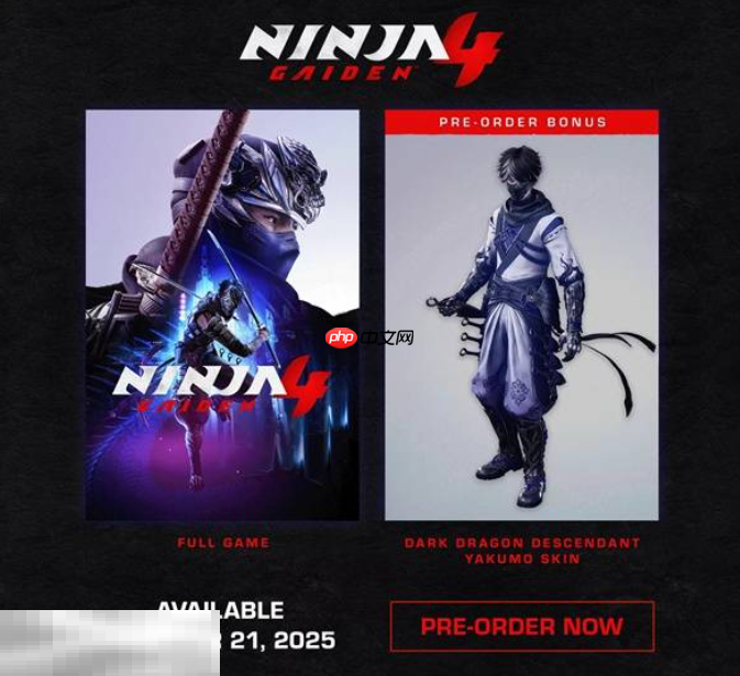 忍者龙剑传4豪华版奖励有什么 标准版和豪华版预购内容介绍