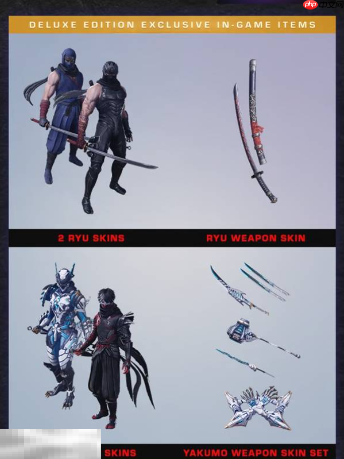 忍者龙剑传4豪华版奖励有什么 标准版和豪华版预购内容介绍