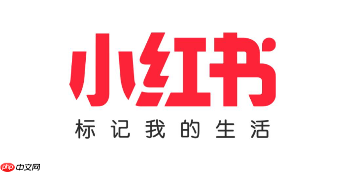 小红书如何进行数据分析_小红书数据分析的实用工具与方法