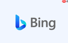 Bing浏览器怎么解决卡顿问题_Bing浏览器卡顿优化与故障排除