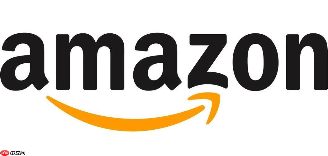 亚马逊代购支付保障措施_亚马逊代购支付风险规避