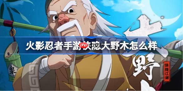火影忍者手游侠隐大野木怎么样-侠隐江湖大野木技能介绍