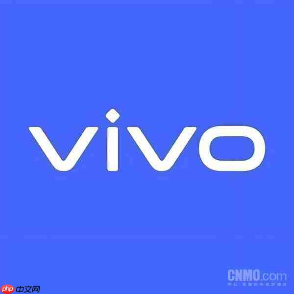 Q3國(guó)內(nèi)手機(jī)市場(chǎng)出貨量排名：vivo以1180萬(wàn)臺(tái)位居第一