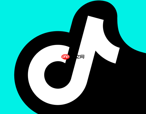 抖音电脑版如何投屏_抖音电脑版投屏功能与设备连接