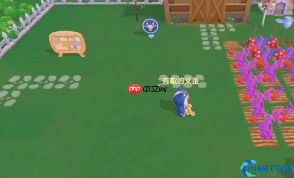 拉姆饲养终极指南:摩尔豆换饥饿值速升三级攻略