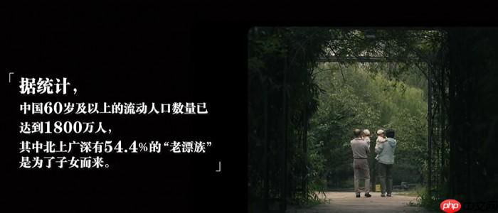 健忘、孤独、不适应？“老漂族”困境谁来破？