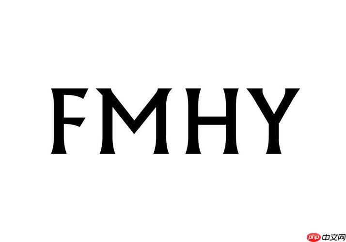 fmhy官网免费直达_fmhy中文版入口快速访问
