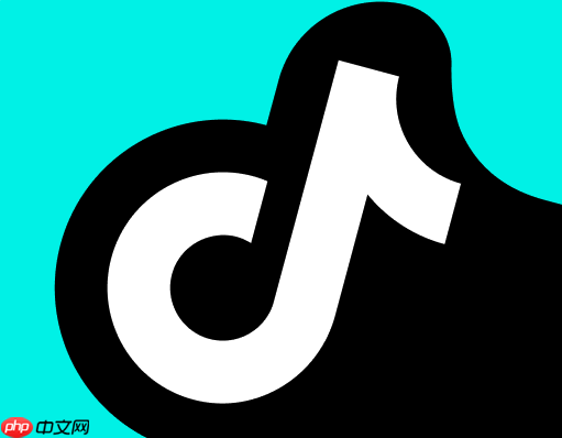 抖音电脑版怎么下载_抖音电脑版官方下载渠道与方法