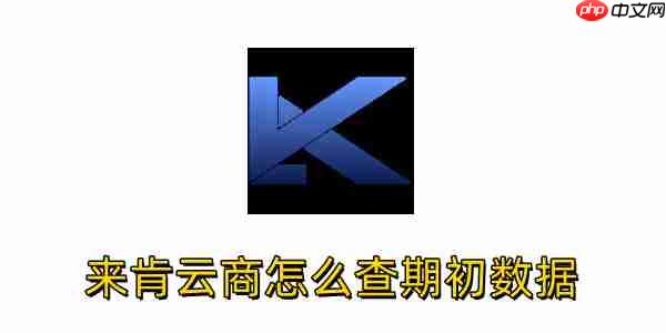 来肯云商怎么查期初数据？来肯云商查期初数据的方法