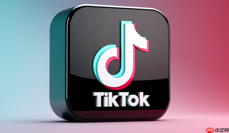 tiktok网络访问地址 tiktok网页版登录入口