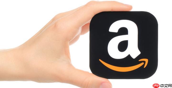 亚马逊代购支付安全升级_亚马逊代购支付技术保障