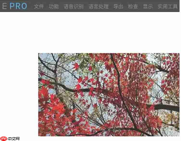 arctime怎么快进播放?arctime快进播放的操作步骤