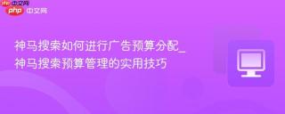神马搜索如何进行广告预算分配_神马搜索预算管理的实用技巧