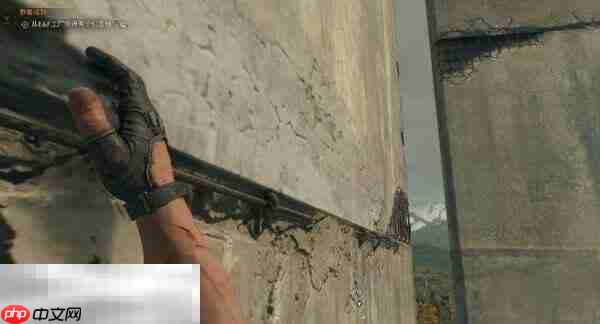 消逝的光芒困兽登高望远成就怎么达成 登高望远成就达成方法