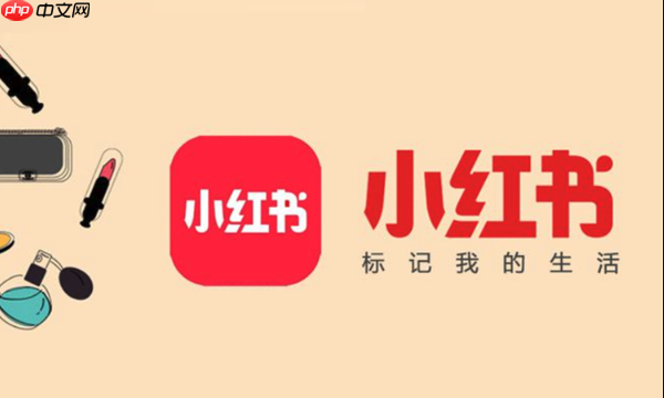 小红书网页版在线进入_小红书官网首页访问