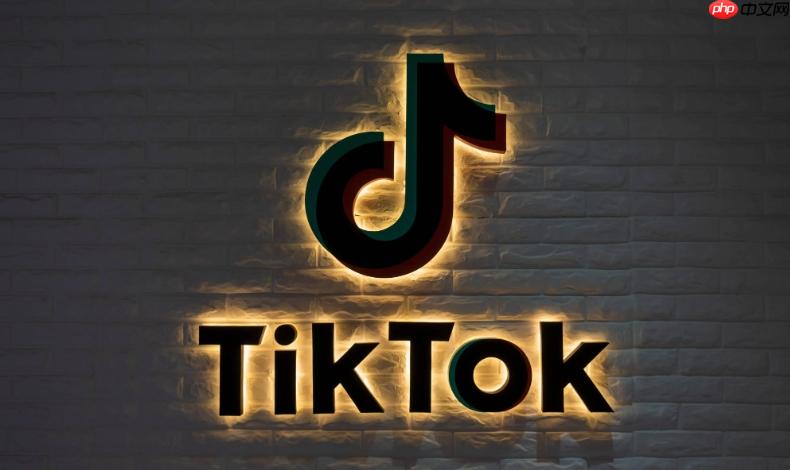 tiktok网络平台入口 tiktok网页版使用链接