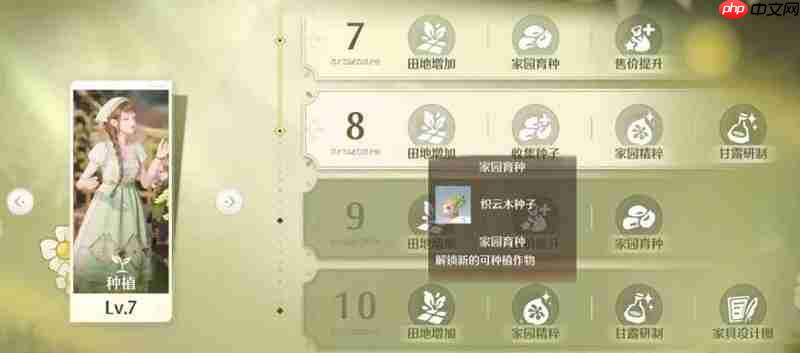 无限暖暖家园升级顺序介绍-无限暖暖家园升级顺序怎么规划