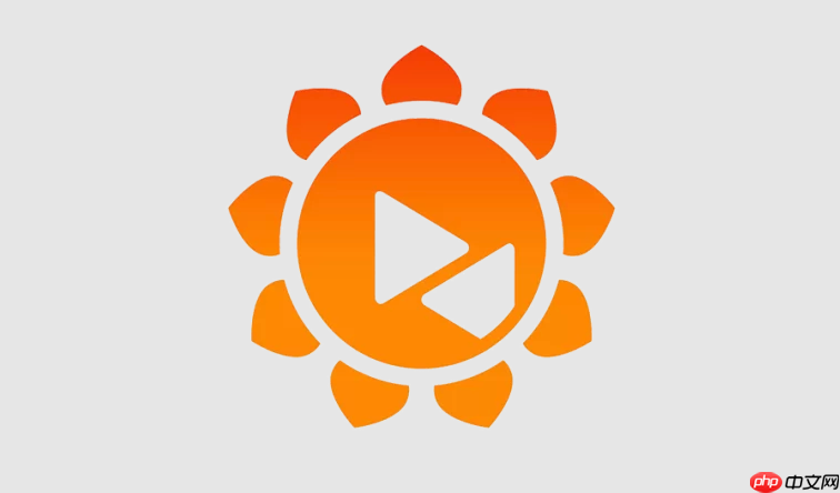 向日葵远程控制入门教学 远程控制向日葵配置步骤