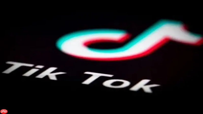 tiktok在线使用地址 tiktok网页版快速入口