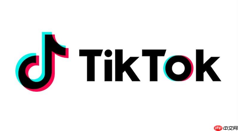 tiktok网页版连接 tiktok在线访问入口