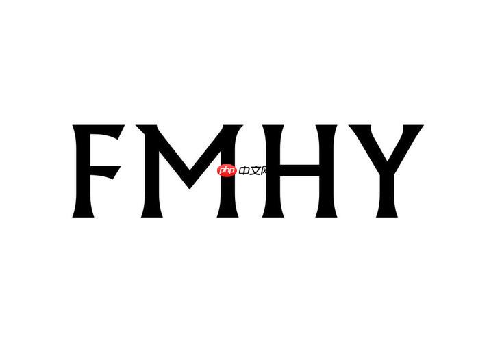 fmhy官网便捷入口_fmhy中文官网快速进入
