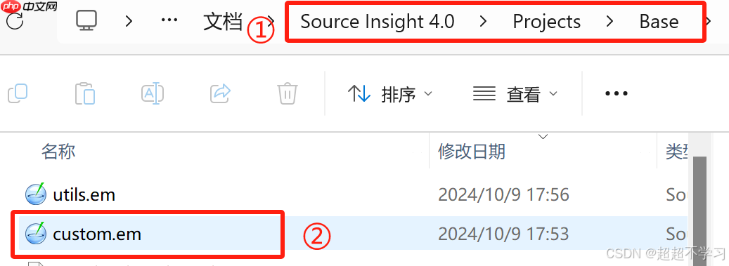 source insight怎么添加注释？source insight添加注释的方法