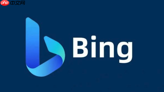 bing浏览器怎么查看历史_bing浏览器历史记录查看与搜索方法