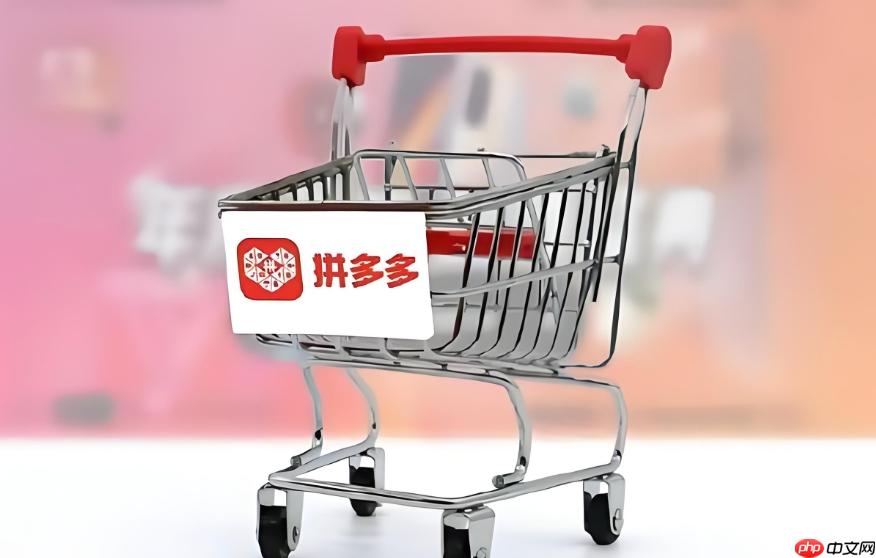拼多多退货需要提供什么_拼多多退货所需材料完整清单
