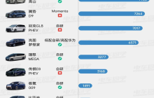 谁是2025辅助驾驶的交付黑马？销量数据指向元戎启行