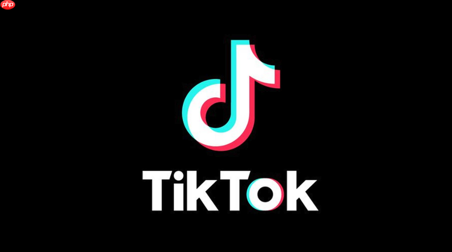 抖音tiktok官方网址入口官方版 抖音tiktok官网首页快速直达