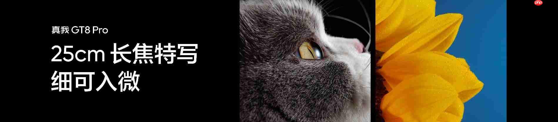 搭载理光GR影像系统!真我GT8系列正式发布