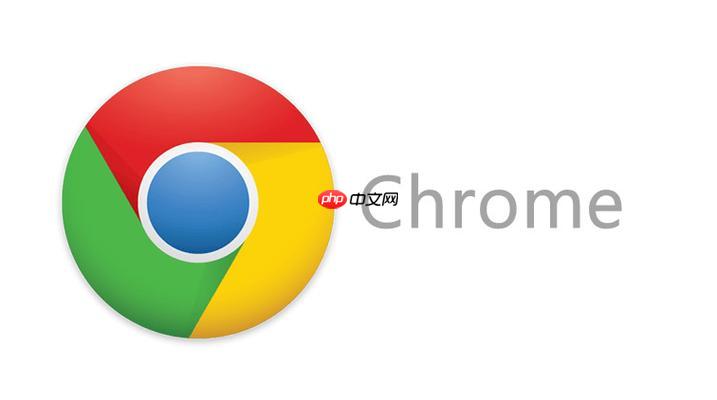 chrome浏览器最新官方下载地址 chrome浏览器官网首页直接打开