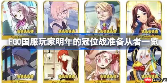 FGO国服玩家明年的冠位战准备从者一览-FGO国服玩家该为明年的冠位战准备些什么