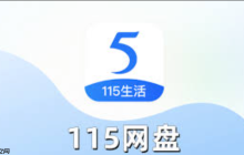 115网盘资源查询入口_115网盘资源稳定链接通道