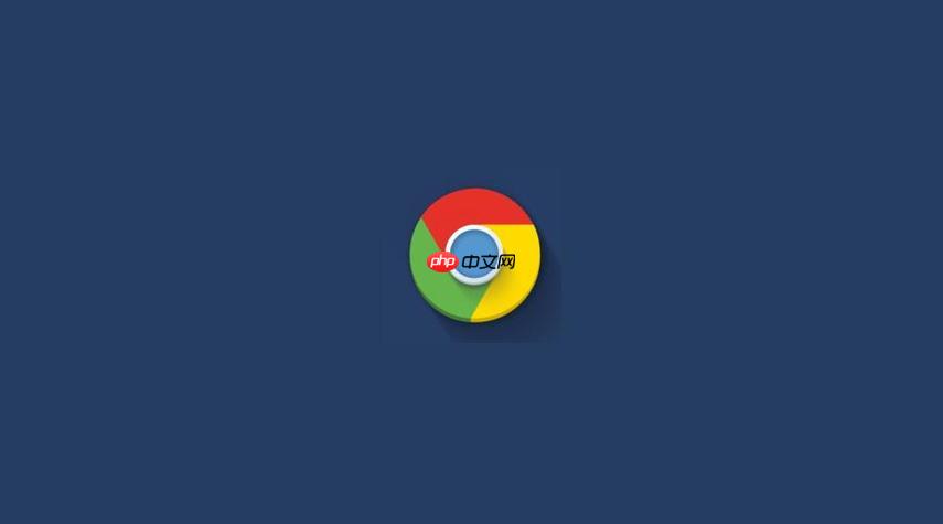 chrome浏览器最新官方网址下载 chrome浏览器官网链接快速直达