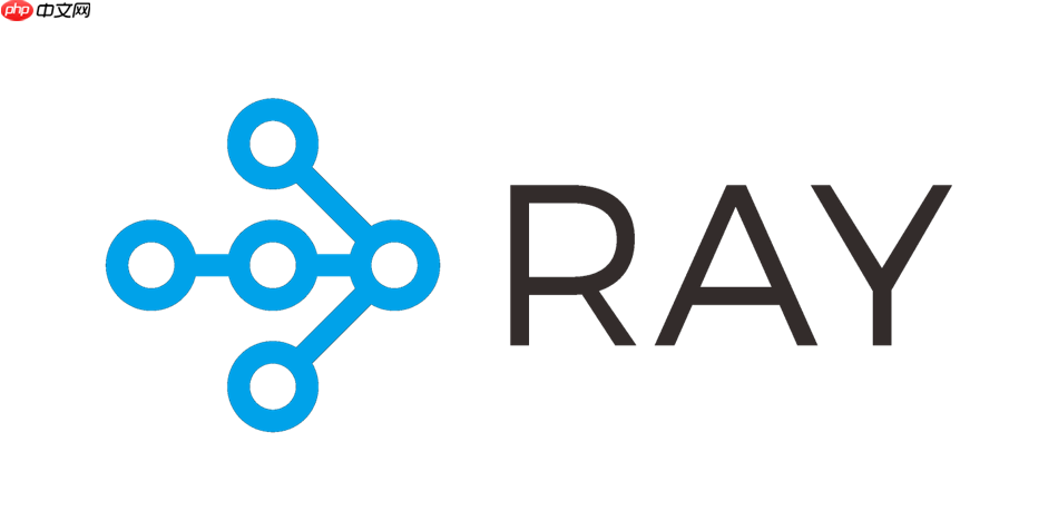 RayLink如何适配不同网络环境_RayLink动态网络适应的配置指南