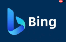 Bing搜索官方主页最新网址 Bing搜索平台直达访问官网入口