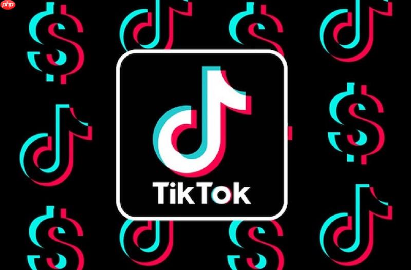 tiktok在线平台地址 tiktok网页版连接链接