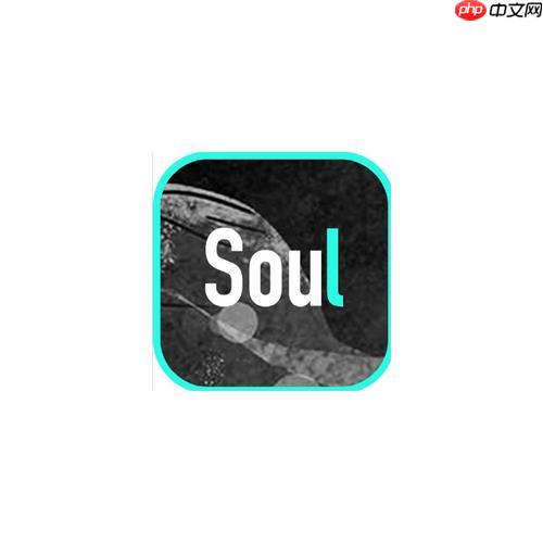Soul怎么快速匹配好友_Soul快速匹配好友实用技巧