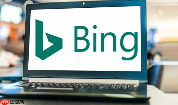 Bing搜索主页官方地址_Bing搜索官方网站登录网址