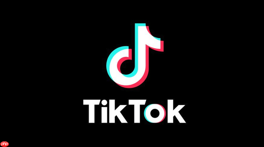抖音tiktok正版下载地址官方 抖音tiktok官网链接快速访问