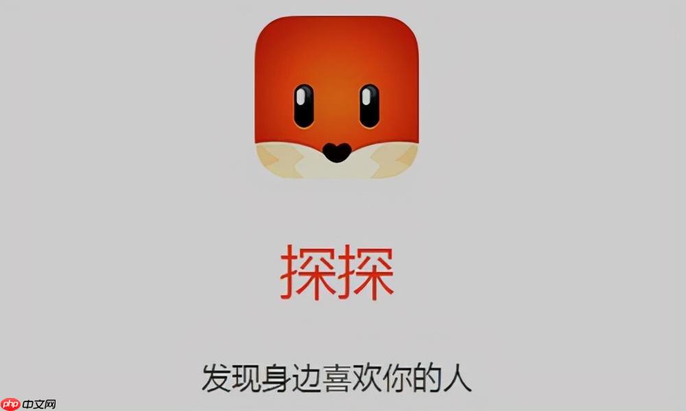 探探聊天记录怎么查看_探探历史聊天记录查询方法