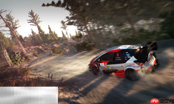 WRC 8 FIA World Rally Championship兑换码分享 WRC 8 FIA世界拉力锦标赛最新兑换码