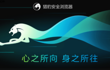 猎豹浏览器官方主页网址最新 猎豹浏览器官网入口直达访问链接