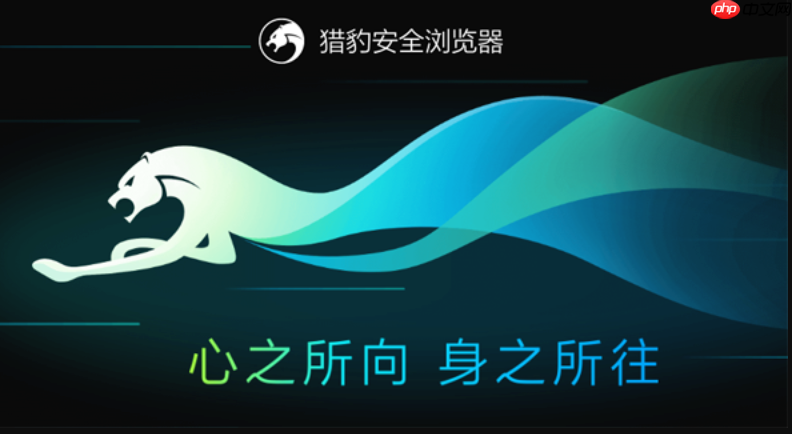 猎豹浏览器官方主页网址最新 猎豹浏览器官网入口直达访问链接