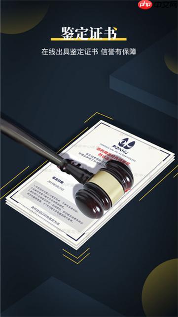 鉴定师APP怎么进行估价_鉴定师APP物品估价与市场参考方法